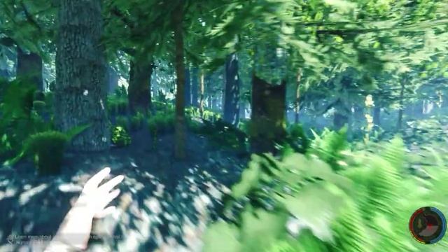 The Forest (жесткий баг) смотреть онлайн