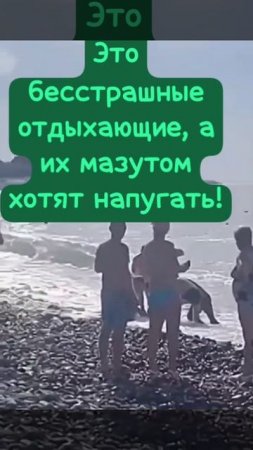 Мина.