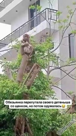 Попутала немножко