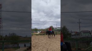 Маша на Наоми, проезд схемы обязательная программа №2 (ОСФ) тест А, подготовка к стартам.
