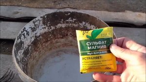 Набухли почки у винограда, кормлю розы, опрыскиваю туи, и снова зима