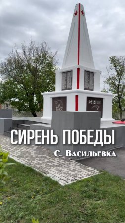 Сирень Победы с. Васильевка