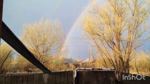 Жизнь в деревне,Заглянула в камеру а там😯роды,Снег на алтае
