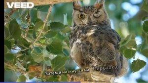 Мультфильм детям