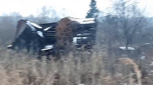 Вышел ёжик из тумана, вынул ножик из кармана.