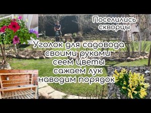 Уголок для садовода своими руками, сеем цветы, сажаем, наводим порядок. Поселились скворцы, первоцве