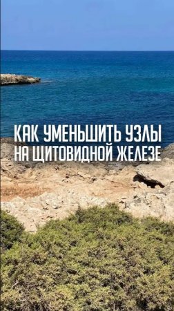 Как уменьшить узлы на щитовидной железе