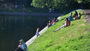 Ядовитые гадюки и опасные клещи: как избежать смертельного укуса на природе