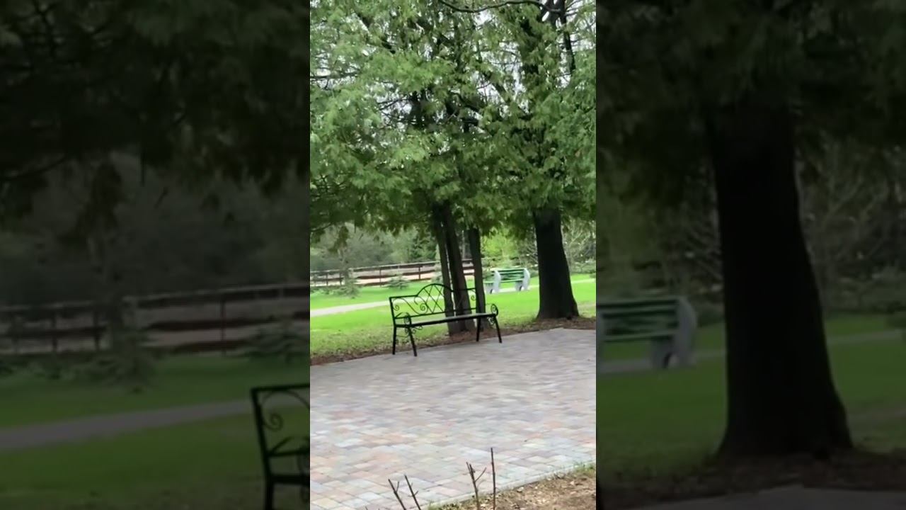 Новое видео на канале о санатории. Обзор. Впечатления . смотреть онлайн