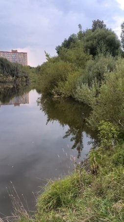 Пруд в городе