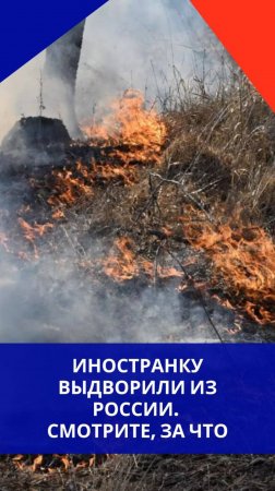 Мигрантку из Молдавии оштрафовали и выгнали из России. Смотрите, за что