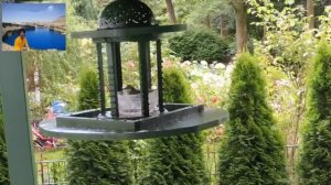 Ahmad Zahir Album 14احمد ظاهر💞💞💞