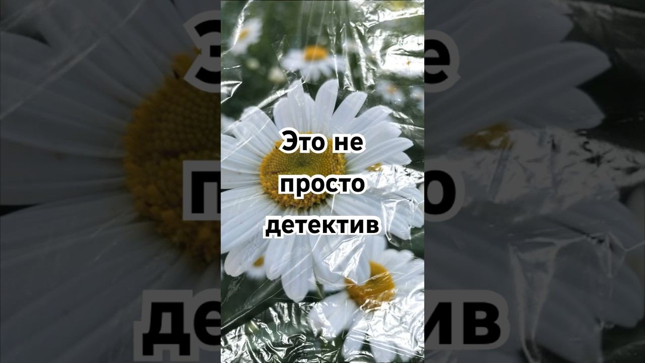 Рекомендую к прочтению #мишельбюсси #черныекувшинки #чтопочитать #детектив смотреть онлайн