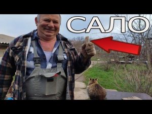 Инкубационное яйцо и сварочный аппарат из Китая 5 в 1