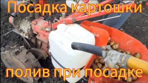 Посадка картошки и полив при посадке, на мотоблоке с картофелесажалкой.