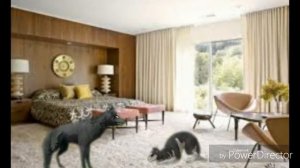 |Wildcraft клип| детская обида