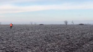 Охота в Крыму на зайца//охота на зайца// коллективная охота на зайца.