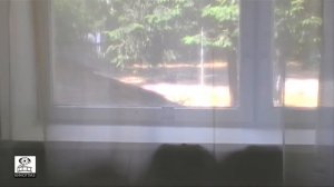 Прошлое рядом