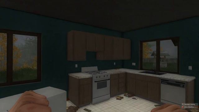 Выживания в H1Z1 (SURVIVAL ГОДА 100%) смотреть онлайн