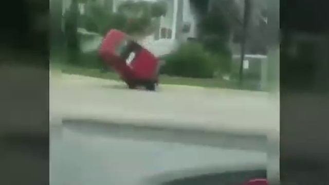 Смешные видео. Смешные приколы