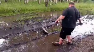 упал в лужу