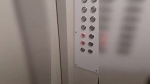 Я РЖАЛ ДО СЛЕЗ 30 МИНУТ ПРИКОЛОВ ЗАСМЕЯЛСЯ ПОДПИСАЛСЯ   ТЕСТ НА ПСИХИКУ лютые приколы 2022