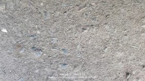 1000105570.mp4
