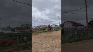 Проезд схемы ППДА на плацу, Наталья на Каспере.