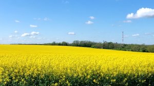 Сегодня был Особенный день...