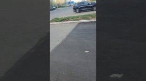 15-4 от ТП-779 248м.