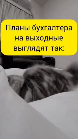 Планы бухгалтера на выходные