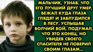 Мальчик, узнав, что его лучший друг умер, бежал, куда глаза глядят, и заблудился в лесу. Услышав...