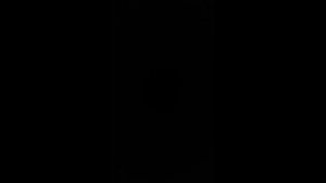 1-я песня Сарвенте