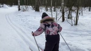 Лыжи Лебяжье за 150₽, вафельные трубочки, вафли, мясо с картошкой в горшочках, музей Лобачевского