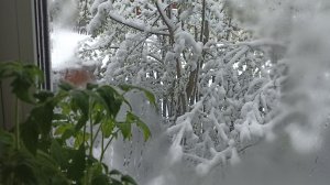 Пришла зима в апреле.