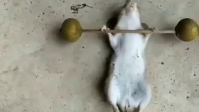 Были времена, но я уже не тот))