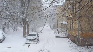 Апрельская метель.