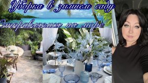 Уборка в зимнем саду 🌴 Море в доме 🌴