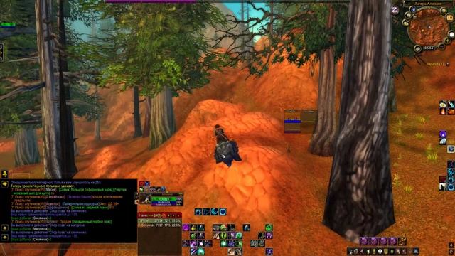 #13 Друид Сова/Хил Sirus Soulseeker X1 HARDCORE HC