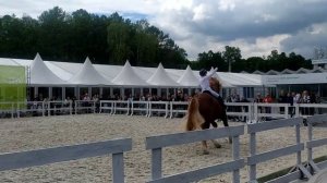 Литовский тяжеловоз