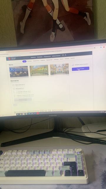 An overview of educational institutions in Russia: РЭУИ Плеханова