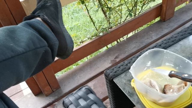 СОЧИ ГОРНОЕ ЛОО УТРО 28.04.2025