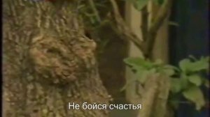 Сесилия Мареска & Джессика Шультц "Спящая красавица".
