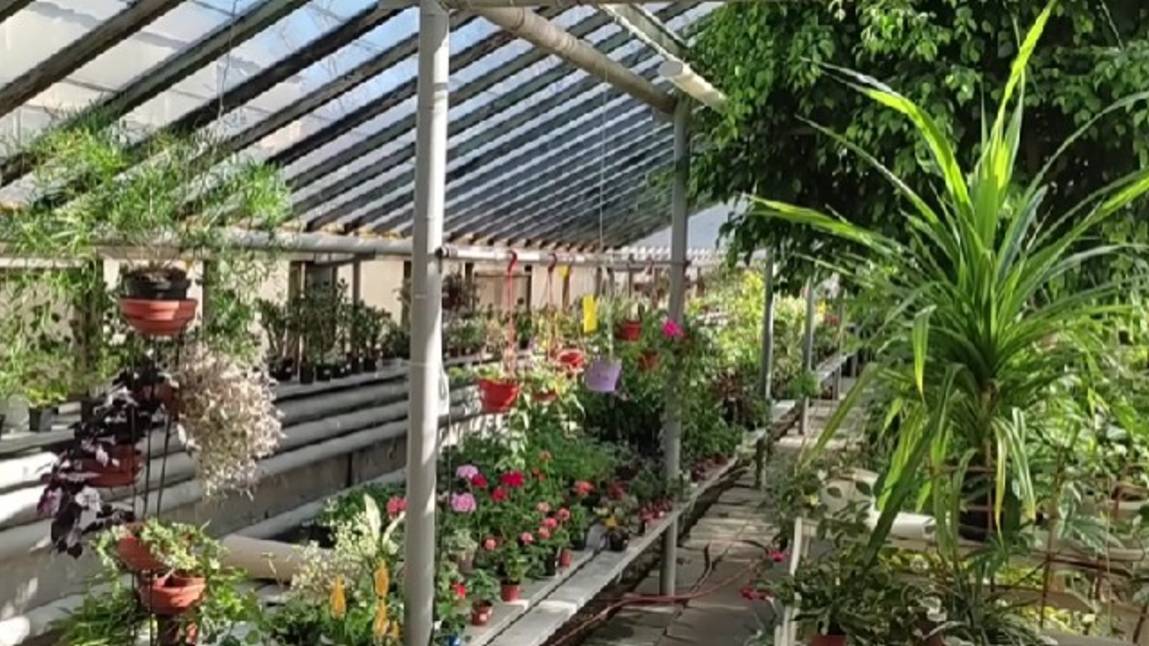 Прогулка в оранжерею дендрологического парка