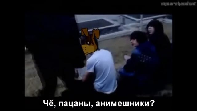 Russia Paver 