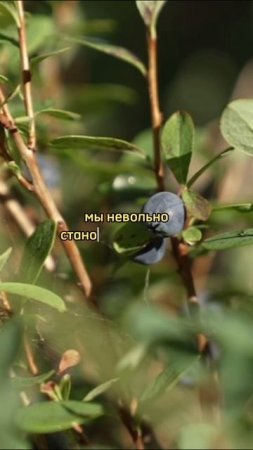 Согласны с классиком?