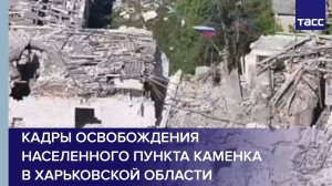 Кадры освобождения населенного пункта Каменка в Харьковской области
