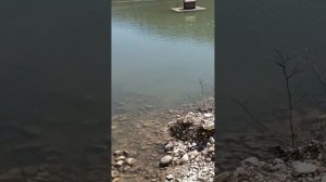 1000327528.mp4 НАЛЬЧИК. 27.03.2024. Мои прогулки и путешествия. У озера Любви