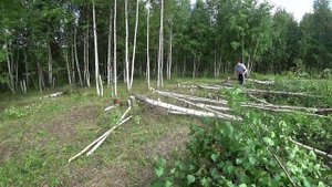 Влог от 14.08.2020