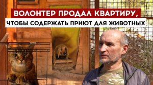 Волонтер продал квартиру, чтобы содержать приют для животных